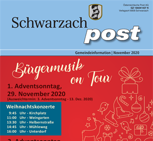 Schwa Post November 20 web.pdf
